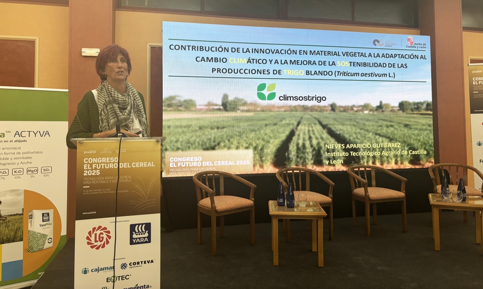 Nieves Aparicio, investigadora de la Unidad de Herbáceos en el Instituto Tecnológico Agrario de Castilla y León (ITACYL)... Nieves Aparicio, investigadora de la Unidad de Herbáceos en el Instituto Tecnológico Agrario de Castilla y León (ITACYL)...