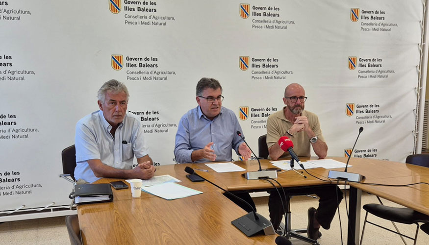 Comparecencia del Govern de Baleares para informar de la llegada del serotipo 3 de la lengua azul a Mallorca