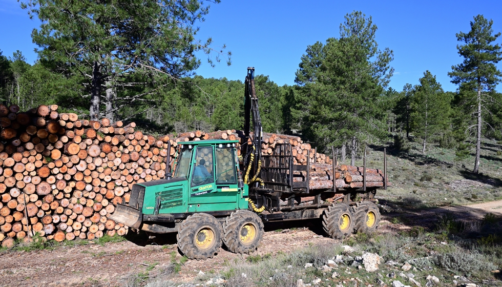 La necesidad de promover una gesti�n forestal nacional y fomentar el uso de madera en vivienda son algunos de los objetivos la Asociaci�n para la...