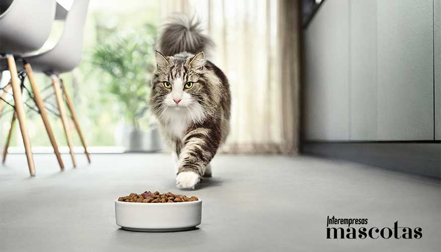 Foto de Nestl Purina lanza al mercado Pro Plan LiveClear, el primer y nico alimento que reduce los alrgenos en el pelo de los felinos