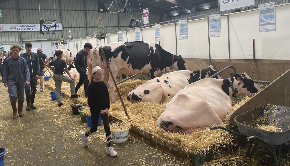 Vacas de aptitud lechera presentes en SPACE