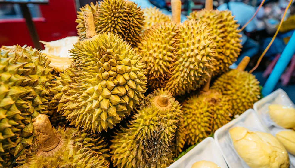 Durio, conhecido como o 'rei dos frutos' no Sudeste Asitico