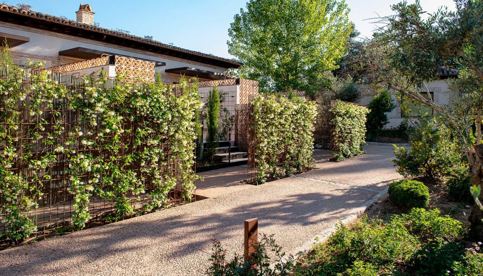 Proyecto Requena y Plaza