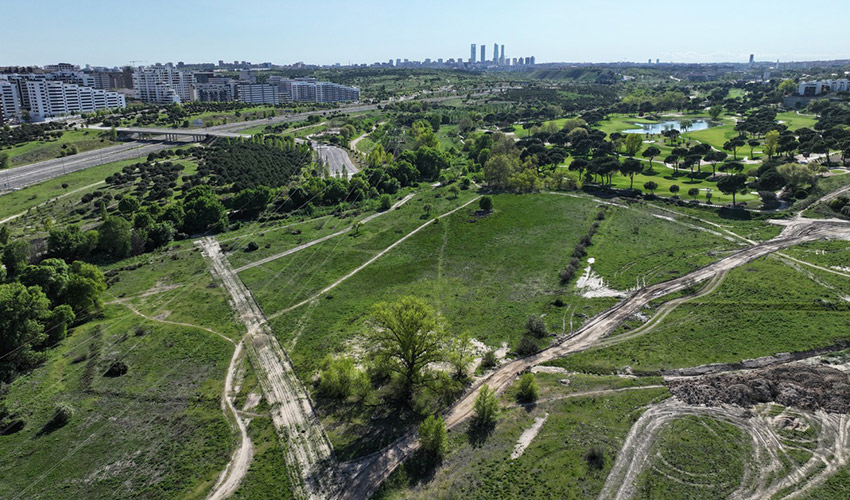 La integraci�n de movilidad sostenible y naturaleza busca reducir el estr�s y mejorar la calidad de vida en las ciudades...