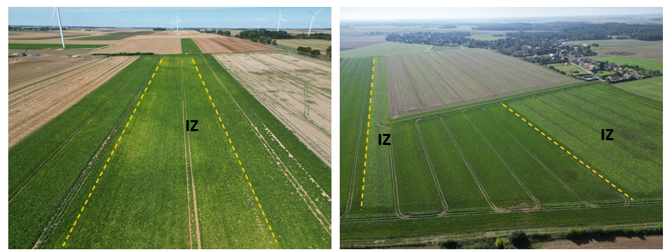 Campos de la finca experimental de �tr�pagny donde se utilizan los fertilizantes Impact Zero� de bajas emisiones de GEI de Fertiberia...