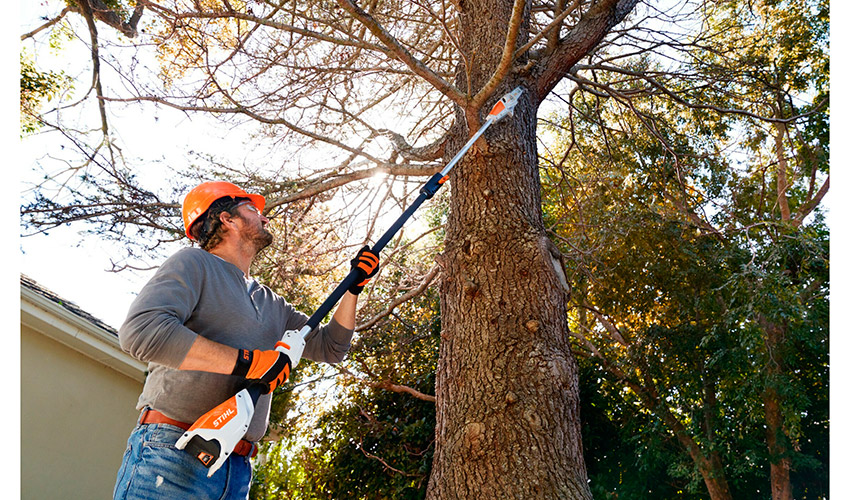 Podadora de altura de batera HTA 50