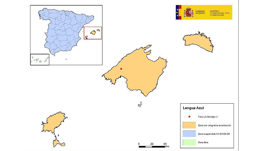 Mapa de la deteccin del foco de serotipo 3 en la isla de Mallorca