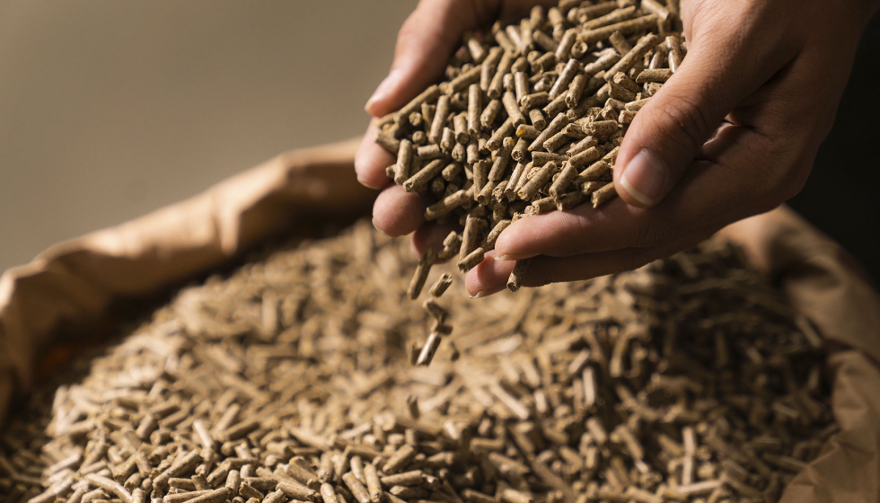 Piensos compuestos para alimentaci�n animal