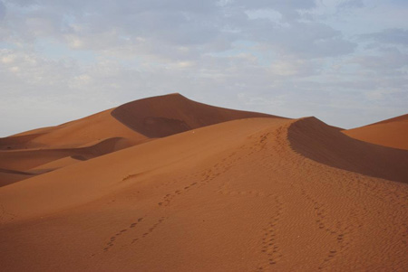Los campos se encuentran a unos 1.500 kilmetros al suroeste de Argel