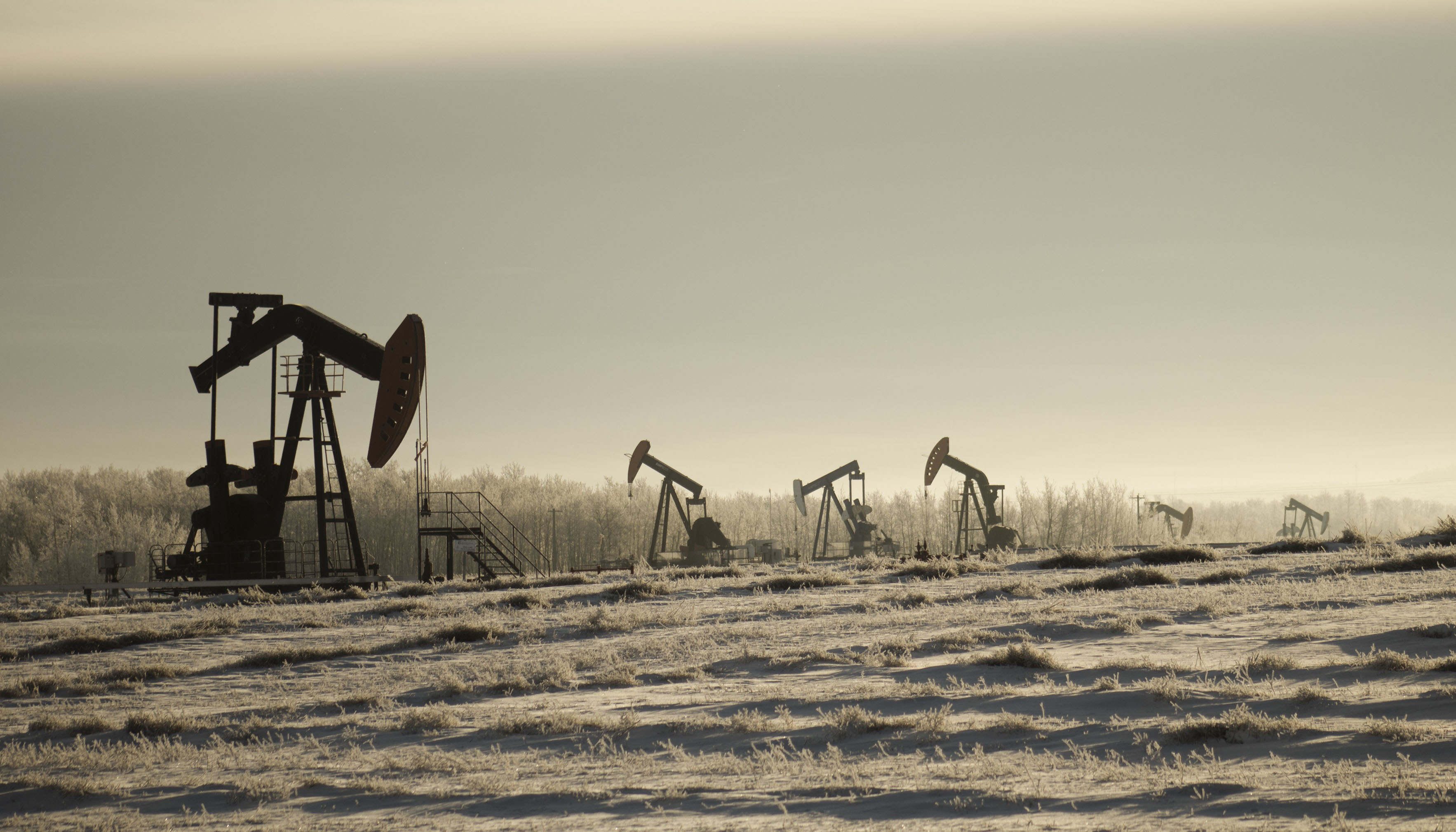 Para distribuidores y refineras este anuncio supone un escenario ms previsible para planificar aprovisionamientos y gestionar mrgenes...