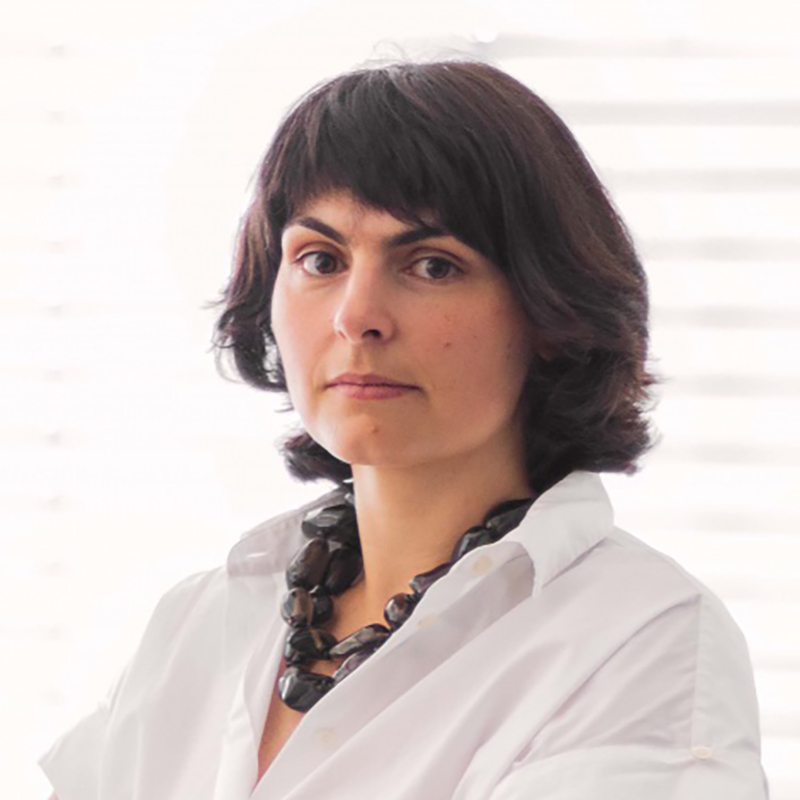 Isabel Azevedo, diretora da Unidade de Energia no INEGI