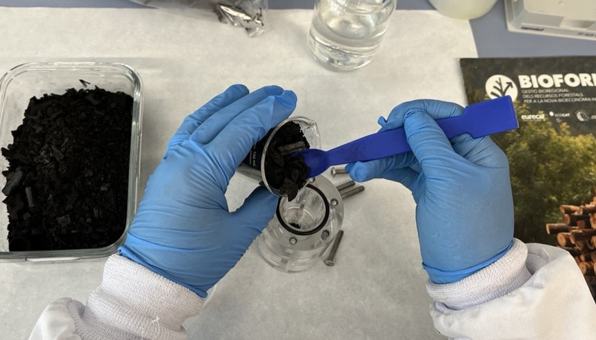 El proyecto Bioforin tiene como objetivo fomentar la bioeconom�a regional y la resiliencia clim�tica mediante el uso de la biomasa...