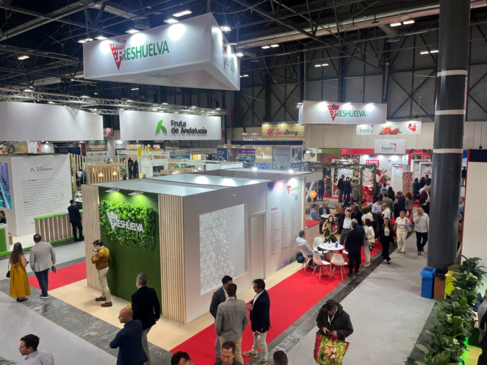 Imagen del stand de Freshuelva en la edici�n de Fruit Attraction de 2024