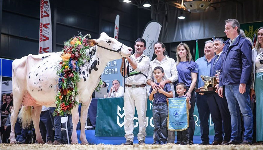 Vaca Gran Campeona Nacional CONAFE 2025