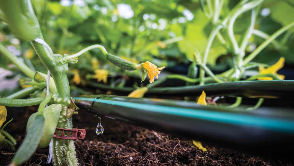 Una oferta completa de productos de gran calidad