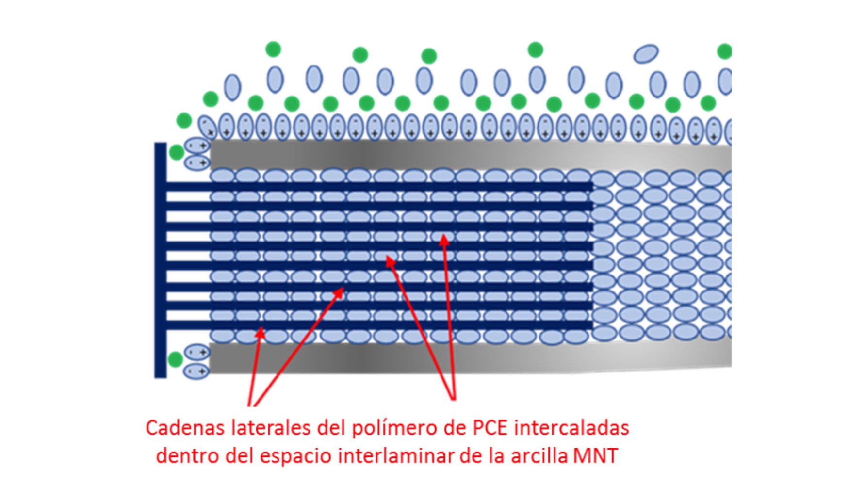 Figura 3 – Modelo del mecanismo de intercalación de las cadenas laterales del polímero de PCE en el espacio interlaminar de arcillas montmorillonitas...