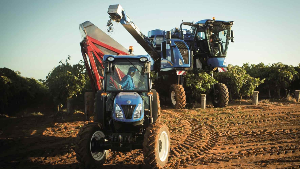 Septiembre, mes de vendimia en Espa�a