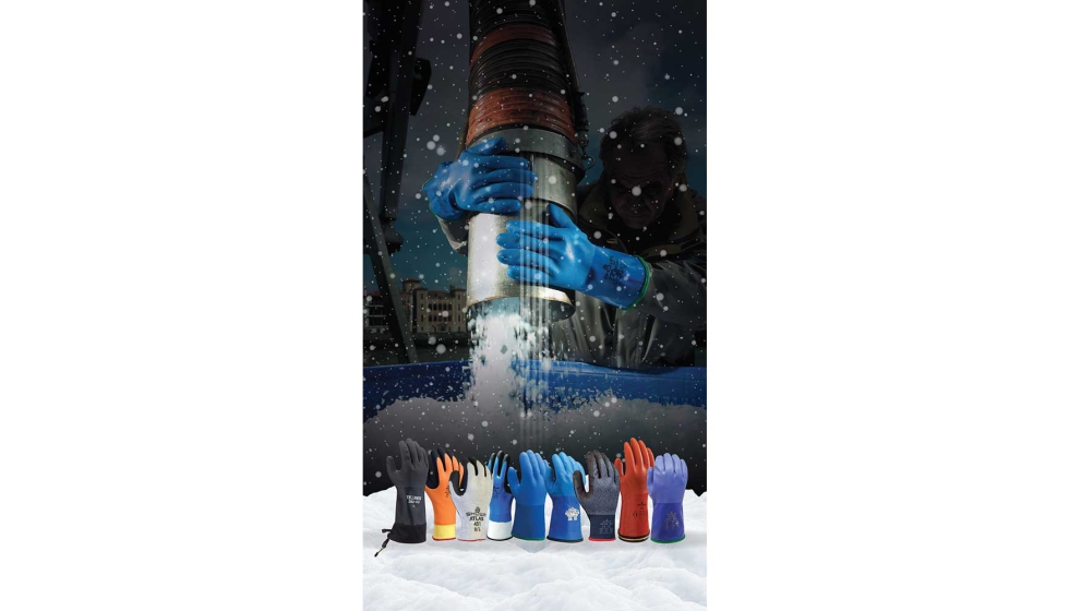 Campaa de invierno de SHOWA