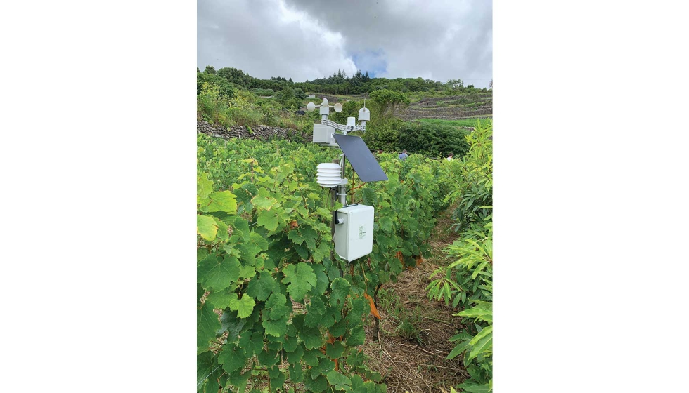 Piloto tecnológico no Olival - Sistema de monitorização próxima SOFIS. © SFCOLAB Piloto tecnológico no Olival - Sistema de monitorização próxima SOFIS. © SFCOLAB