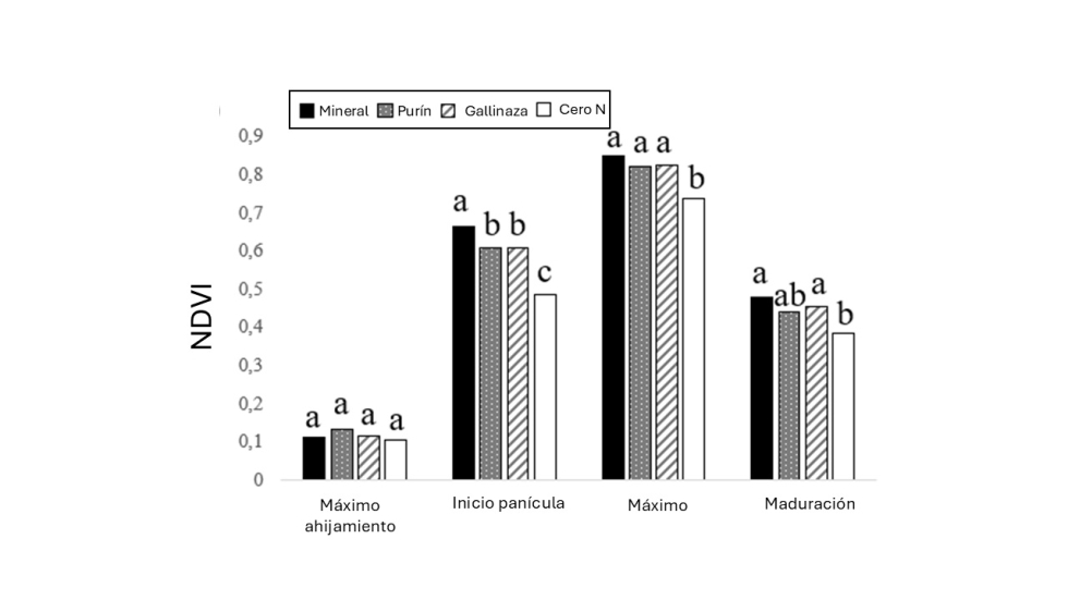 Grfico 1. NDVI obtenido de Sentinel-2 en arrozales con fertilizacin orgnica y mineral...