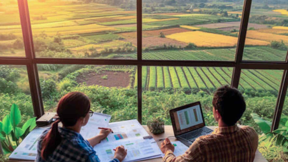 Foto de El Marketing Intelligence minimiza la volatilidad de los mercados agroalimentarios