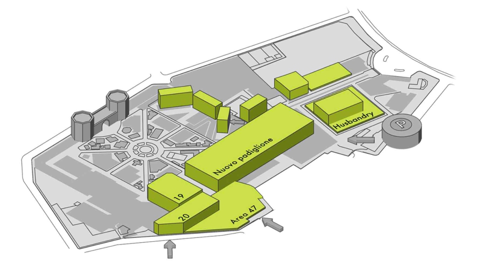 Plano de la exposici�n de este a�o