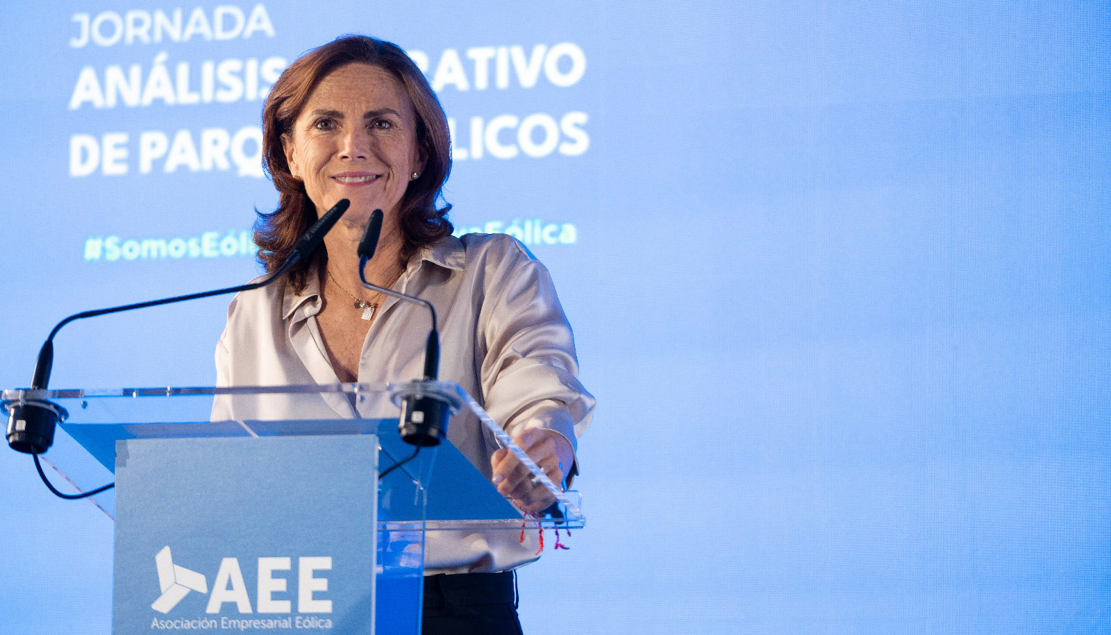 Roco Sicre, presidenta de AEE, en la inauguracin de la jornada de Anlisis Operativo de Parques Elicos