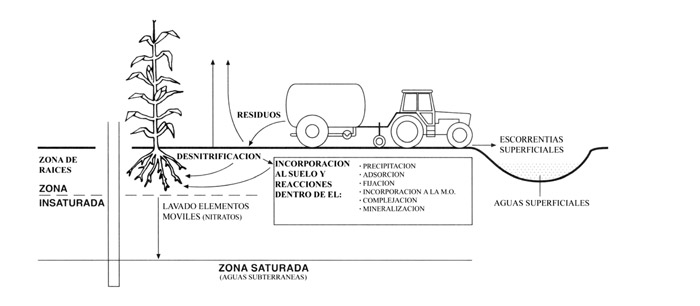 Figura 1. Ciclo de los residuos ganaderos en el sistema suelo-agua-cultivo-atmsfera (Prats, 1995)