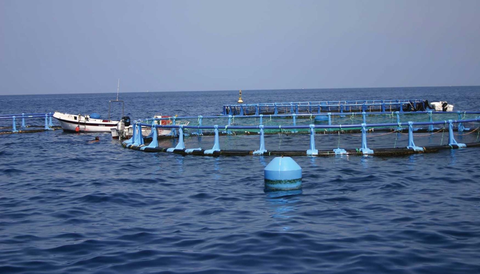 La produccin acucola espaola alcanz un valor de 805,9 millones de euros en 2023