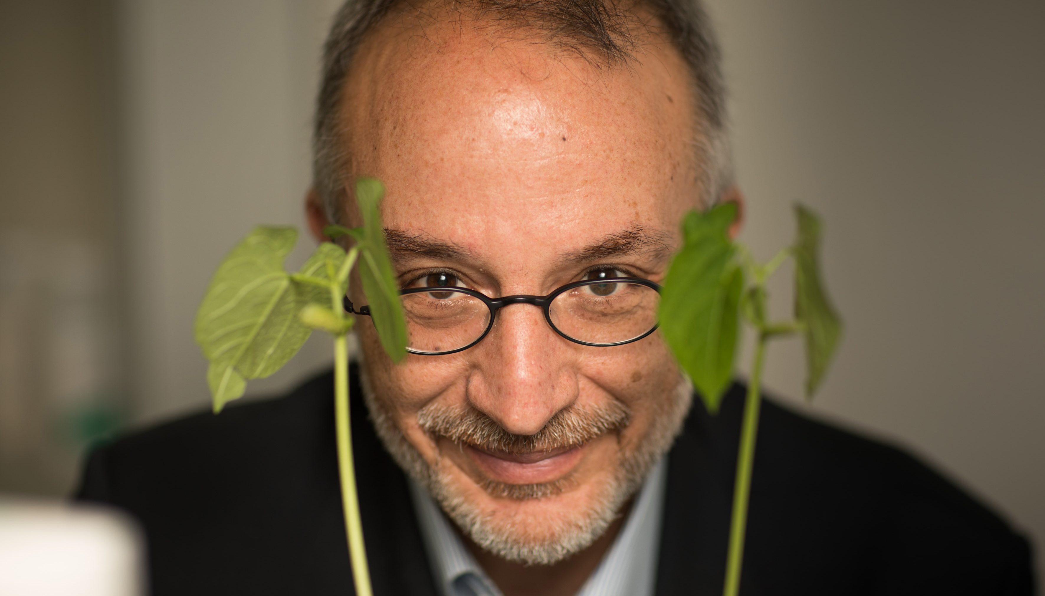 La entrega del galardn a Stefano Mancuso tendr lugar el prximo 12 de noviembre en Madrid, en el marco de la XXVI edicin de los Premios Ecovidrio...