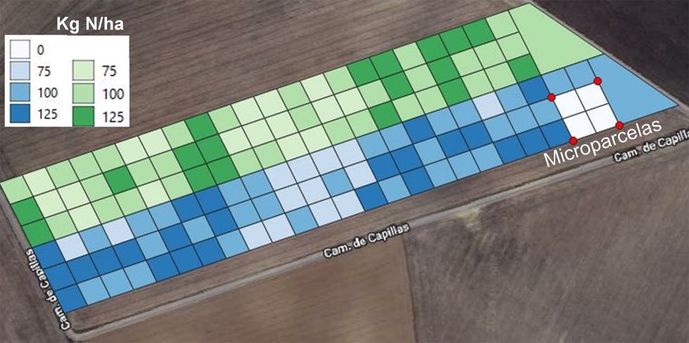 Figura 2. Mapa de aplicacin (134 parcelas experimentales) con dosis variable (kg N/ha) en base a la zonificacin de la parcela...