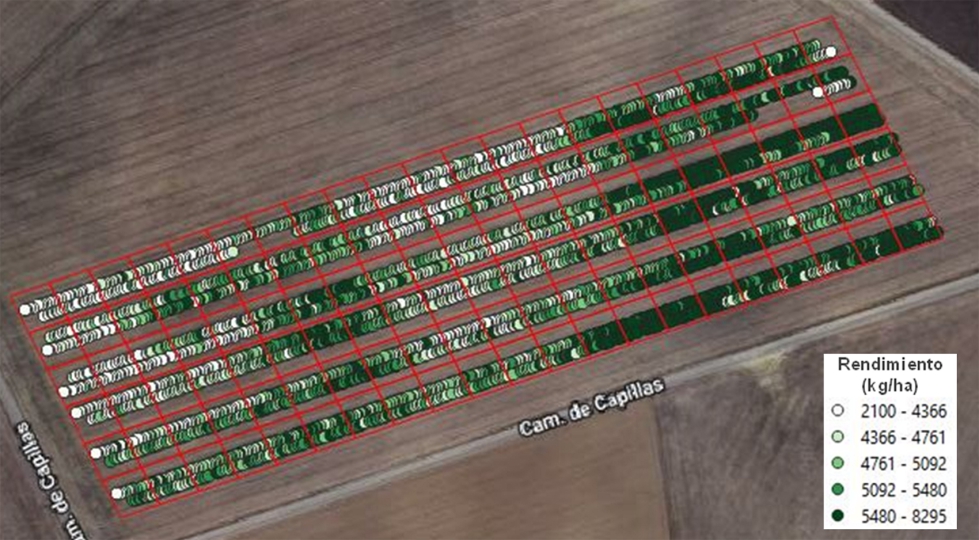 Figura 3. Mapa de rendimiento con las parcelas de estudio. Obtencin de datos de las dos pasadas centrales