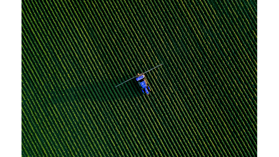 Foto de V Congresso Ibrico Agropecurio e Florestal