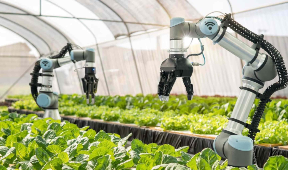 La tecnolog�a ser� protagonista en EXPO SAGRIS