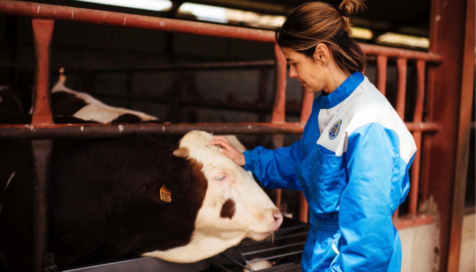 Desde Provacuno estn convencidos que la tecnologa est permitiendo al sector avanzar hacia una produccin ms eficiente, segura y sostenible...