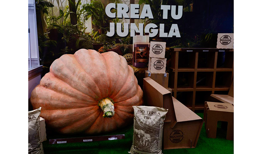 El espacio expositivo de Iberflora 2025 combina diseo, vegetacin y experiencias sensoriales...