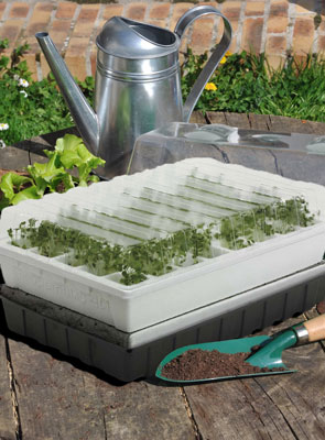 El mini invernadero autorriego es un sistema de crecimiento completo para una rpida germinacin de las semillas