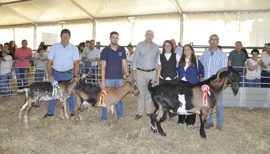 Ejemplares premiados en el X Concurso Morfolgico Nacional de la Cabra Payoya