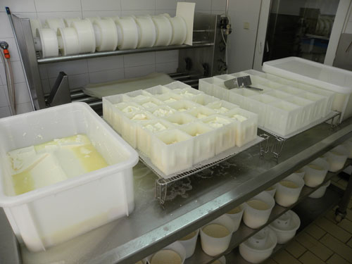 El queso, extrado directamente de la cuajada, se deposita en moldes para dejarlo reposar y darle forma