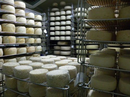 Almacenamiento del queso en la cmara frigorfica para la preservacin de sus cualidades