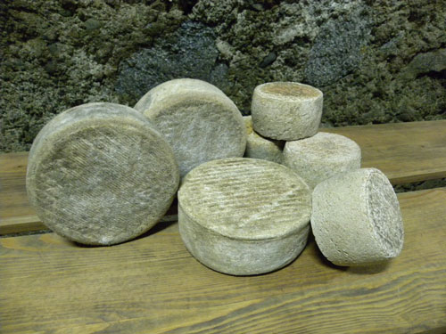 Los quesos Tartera (vaca), el grande, y Serrat de Corroncui (oveja), el pequeo, antes de ser etiquetados