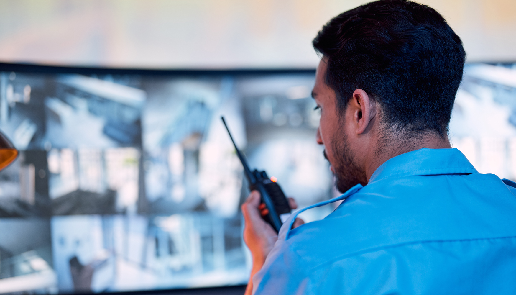 Segn el informe, el rea de sistemas de seguridad seguir siendo el principal motor del crecimiento