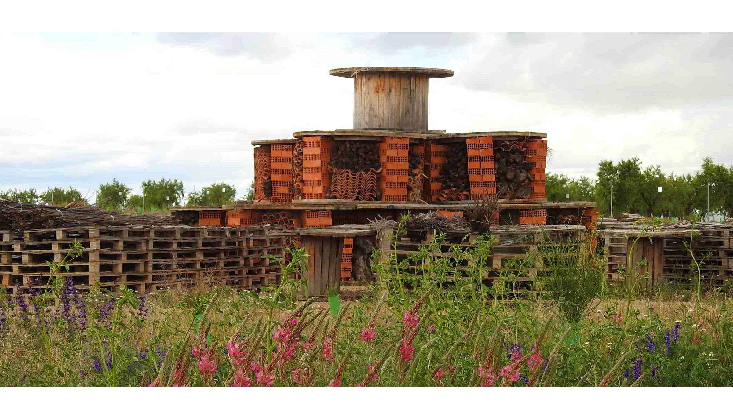 La diversidad detectada se ve reforzada por iniciativas paralelas, como la creaci�n de un refugio de insectos instalado en la planta solar...