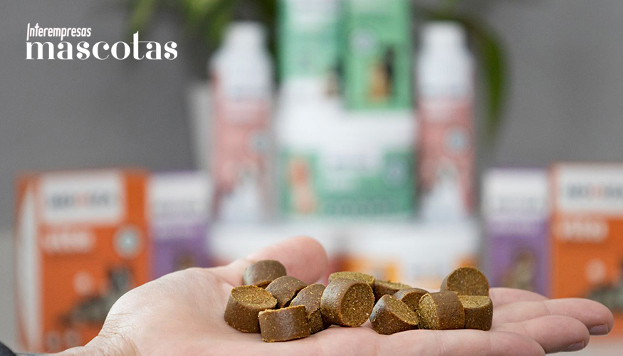 Foto de Cuando se acaba el amor, quin se queda con el perro?