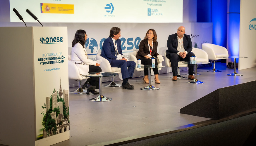 Mesa sobre la dinaminacin de los CAES en el sector pblico