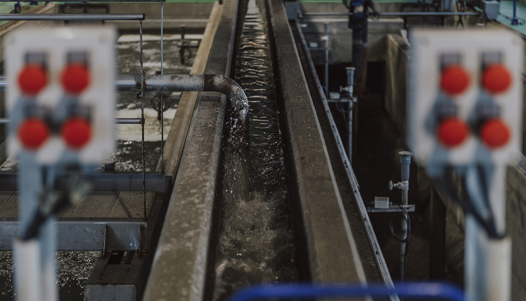 En el sector del agua, la compa��a ha construido en Portugal m�s de 30 plantas de tratamiento de aguas residuales y de agua potable...