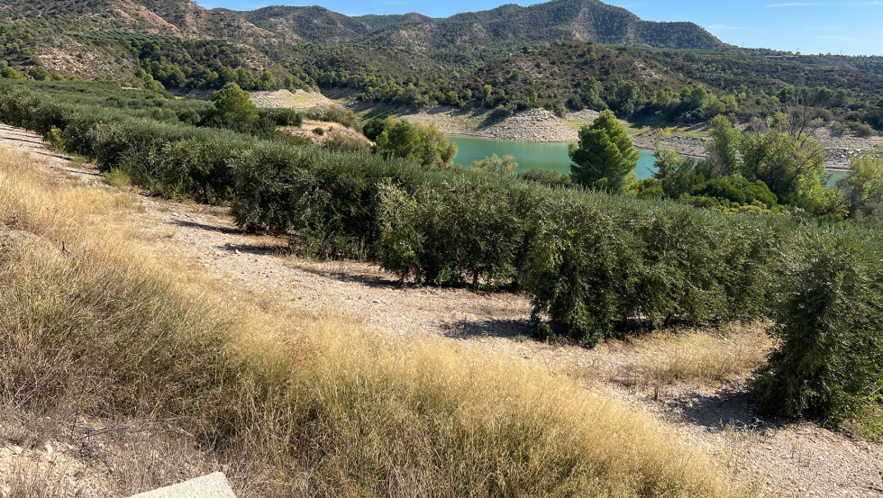 La unin de productores e investigadores de nuevas formas de cultivo ayuda a mejorar la produccin a la vez que la dan a conocer a sus clientes...