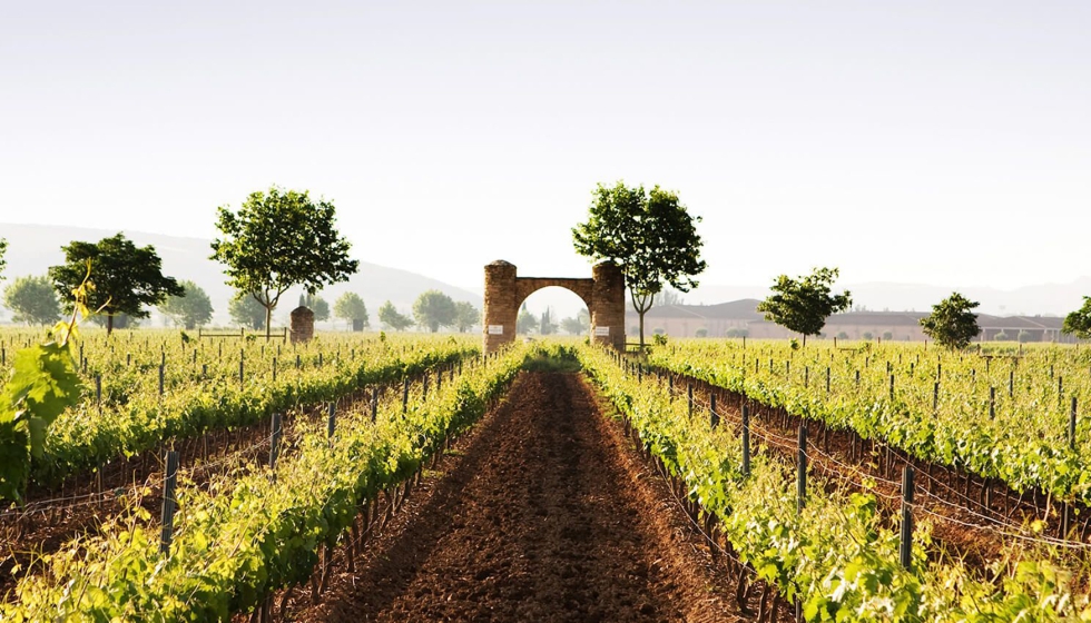 El Coto de Rioja contribuye al crecimiento de las principales categor�as de la DOCa Rioja, consolidando su papel como referente en la Denominaci�n...