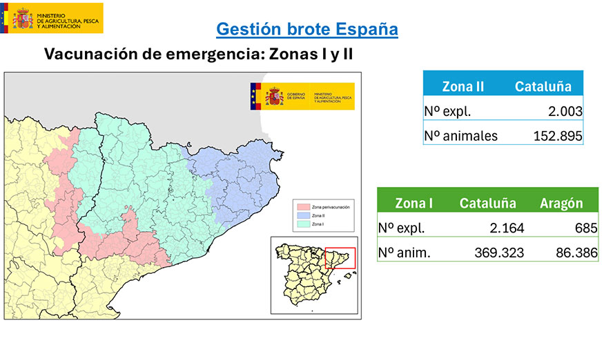 Zonas de vacunacin y perivacunacin para ser implementadas por las comunidades autnomas de Catalua y Aragn. Azul: zona de vacunacin II...