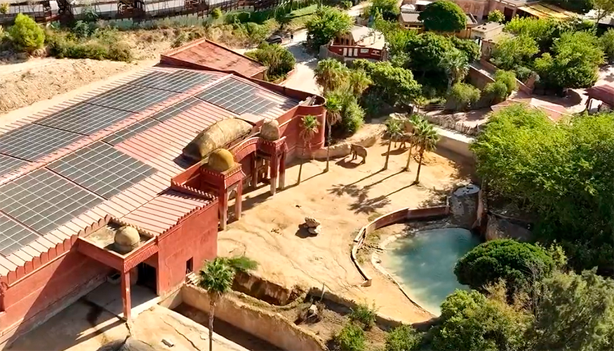 Terra Natura Benidorm es un parque de naturaleza dedicado a la conservaci�n de la biodiversidad, que alberga m�s de 150 especies animales...